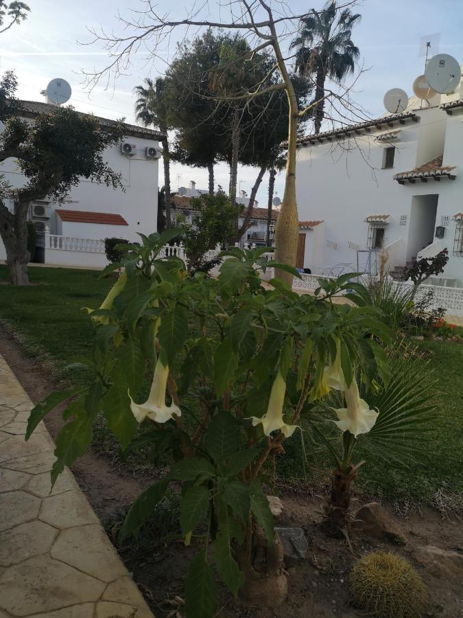 Spanish Style With Terrace Torrevieja
