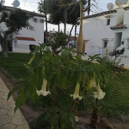 Spanish Style Apartment With Terrace Torrevieja Extérieur photo